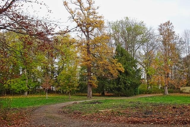 ein Teil(12 ha) des 30 ha großen Schlossparks wurde von dem Landschaftsgestalter Peter Joseph Lenne´ von 1858 - 1863  neu gestaltet