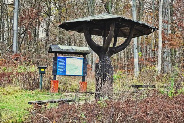 der Schirm am Albrechtsweg