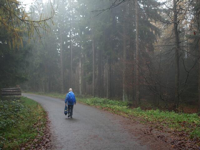 Nebel kommt auf