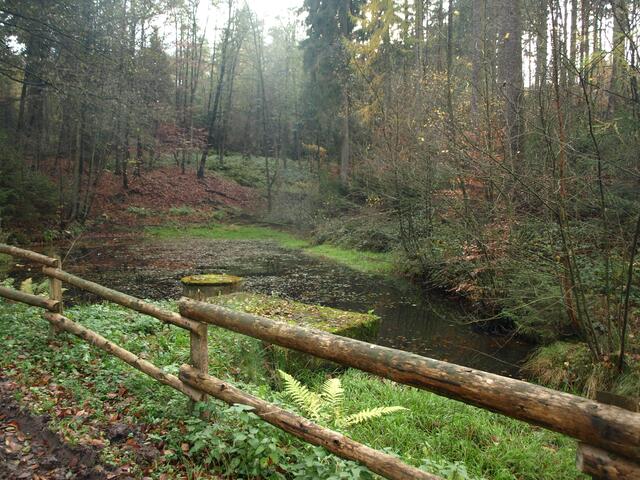 Teich am Fürstenweg