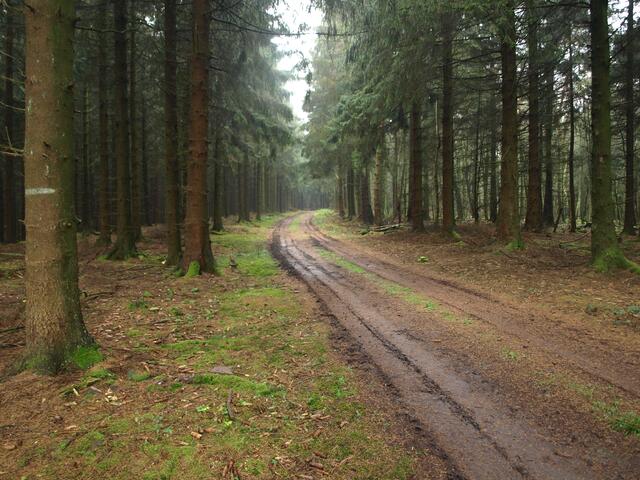 Kammweg