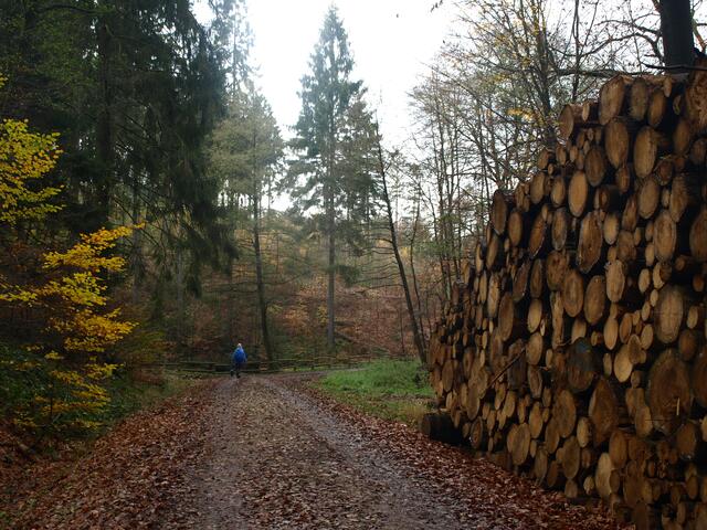 Auf dem Fürstenweg