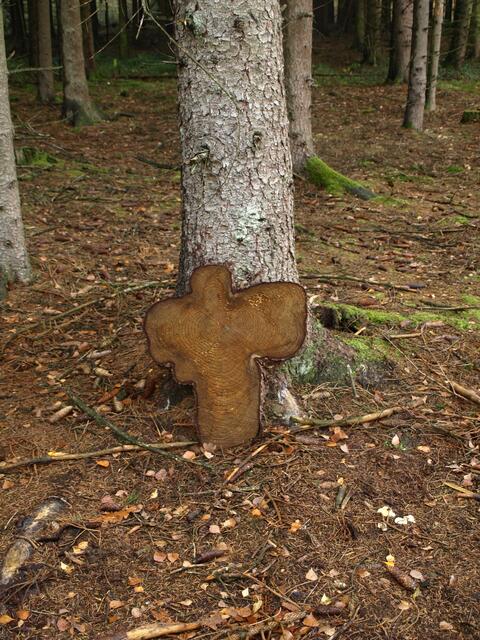 Natur als Künstlerin