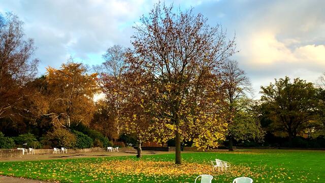 13. November 2020. I. Stadtpark in Hannover am Congress Centrum. Bleibt gesund!