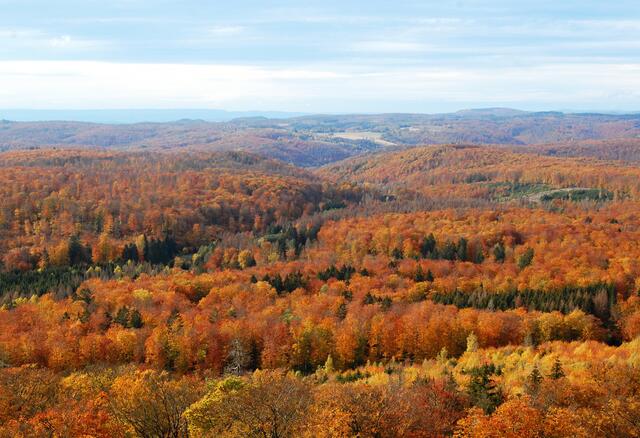 Von der Aussichtsplattform geht der Blick über den gesamten Unterharz und noch viel weiter. Im Hintergrund ist der Thüringer Wald erkennbar.