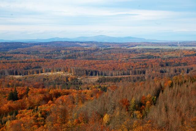 Mit diesem Bild zum Hochharz mit dem Brocken verabschieden wir uns von dieser reizvollen Gegend.
