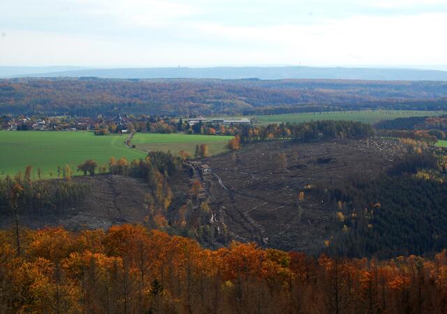 An den Fichtenbeständen hat auch hier der Borkenkäfer sein Werk verrichtet. Der schöne und großflächige Laubwald ist davon nicht betroffen. Im Hintergrund erkennt man über dem Dorf Schwenda das Kyffhäuser-Gebirge. Links das Denkmal, rechts der Fernsehturm.