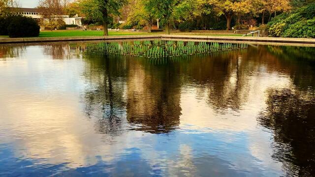 13. November 2020. II. Stadtpark in Hannover am Congress Centrum.  Bleibt gesund!