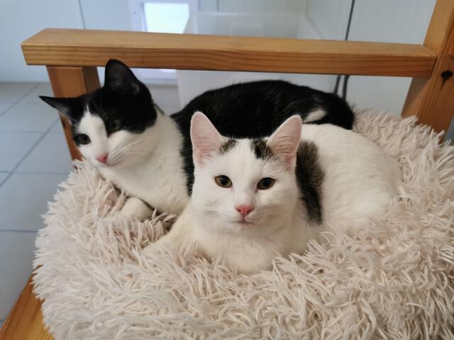 Jack und Bonny