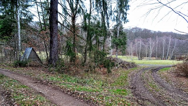 der rechte Weg geht hinunter ins Krebsbachtal, am Ende des Weges trifft man auf die Haltestelle Drahtzug der Selketalbahn