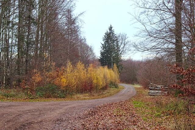 am Bärweg