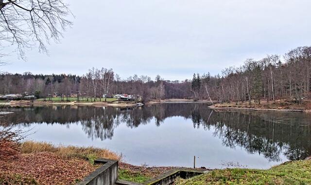 der Bremer Teich