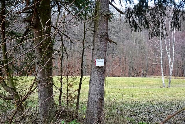 im Krebsbachtal