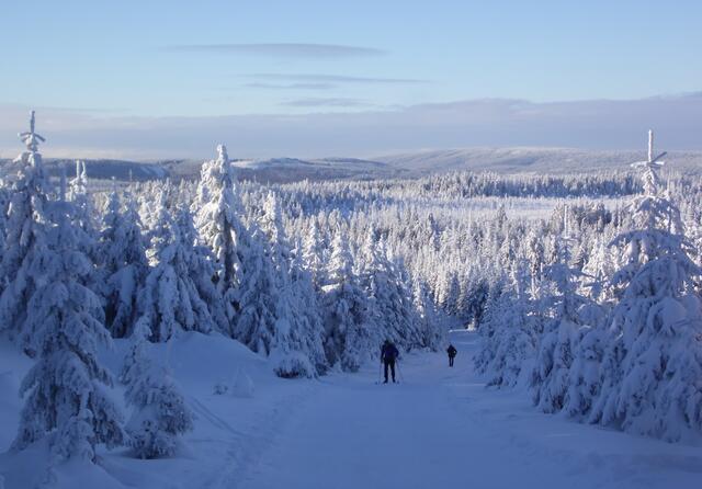 An dieser Stelle trifft der Goetheweg auf die Bahngleise. Hinten mit den Schneefeldern der Sonnenberg, und rechts daneben der langgezogene Acker Bruchberg. Der Wanderweg ist der ehemalige Grenzweg, der von den Soldaten der Volksarmee benutzt wurde.
