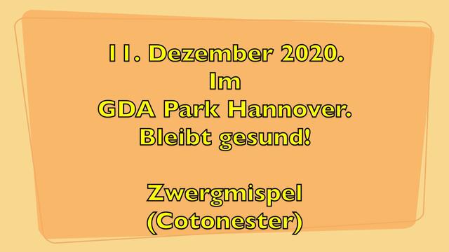 11. Dezember 2020. Im GDA Park Hannover. Bleibt gesund!