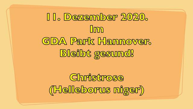 11. Dezember 2020. Im GDA Park Hannover. Bleibt gesund!