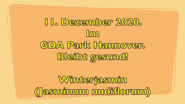 11. Dezember 2020. Im GDA Park Hannover. Bleibt gesund!