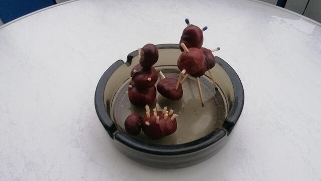 !!! 13.12.2020- Fensterblick Sonntagsbilder 13.12.2020 (48) !!!Temperaturen : Nachts 5,1 Grad / 10:23  6,2 Grad / 14:33  6,5 Grad