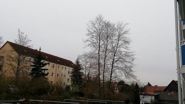 !!! 13.12.2020- Fensterblick Sonntagsbilder 13.12.2020 (48) !!!Temperaturen : Nachts 5,1 Grad / 10:23  6,2 Grad / 14:33  6,5 Grad