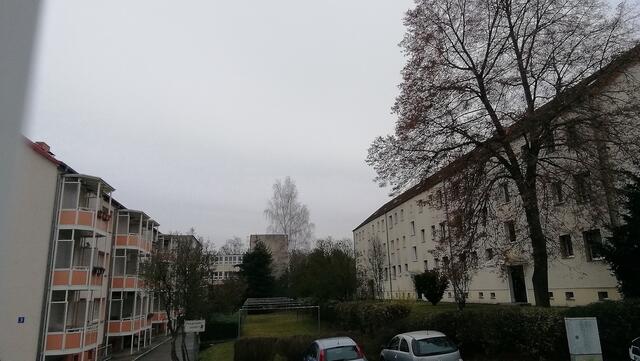 !!! 13.12.2020- Fensterblick Sonntagsbilder 13.12.2020 (48) !!!Temperaturen : Nachts 5,1 Grad / 10:23  6,2 Grad / 14:33  6,5 Grad