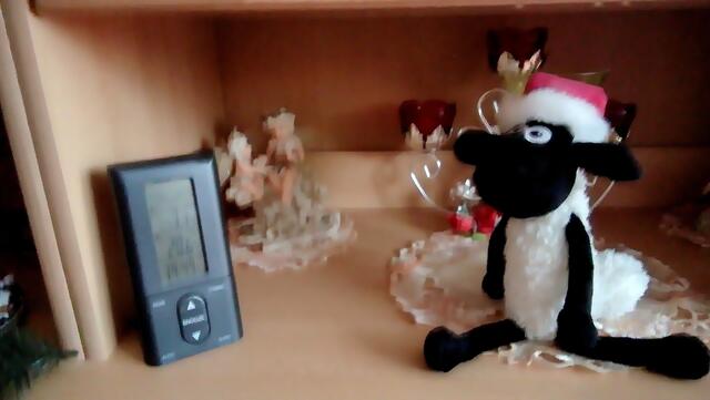 !!! 13.12.2020- Fensterblick Sonntagsbilder 13.12.2020 (48) !!!Temperaturen : Nachts 5,1 Grad / 10:23  6,2 Grad / 14:33  6,5 Grad