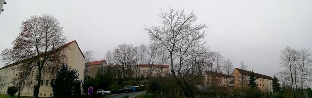 !!! 13.12.2020- Fensterblick Sonntagsbilder 13.12.2020 (48) !!!Temperaturen : Nachts 5,1 Grad / 10:23  6,2 Grad / 14:33  6,5 Grad