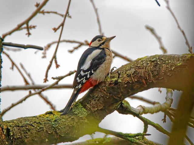 °°Das ist ganz allein mein Revier!°°