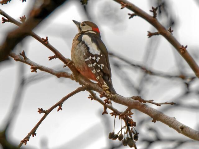 °°Na gut, hier hab' ich auch genug Platz alleine für mich!°°