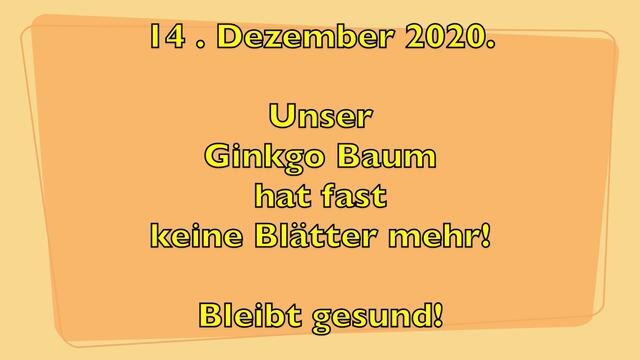 14. Dezember 2020. Bei uns im GDA. Bleibt gesund!
