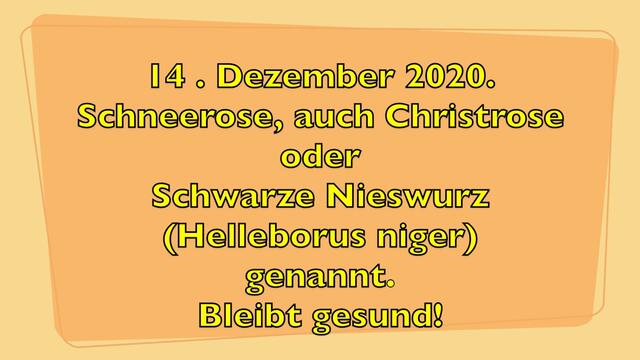 14. Dezember 2020. Bei uns im GDA. Bleibt gesund!