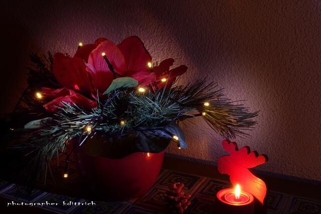 Weihnachtsstrauß im Lichterschein