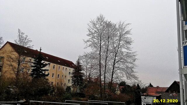 !!! 20.12.2020- Fensterblick Sonntagsbilder 20.12.2020 (49) !!!