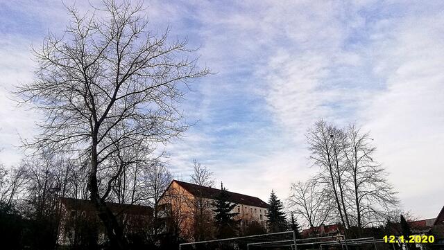 !!! 20.12.2020- Fensterblick Sonntagsbilder 20.12.2020 (49) !!!  Temperaturen : Nachts 5,1 Grad / 10:23 6,2 Grad / 14:33 6,5 Grad