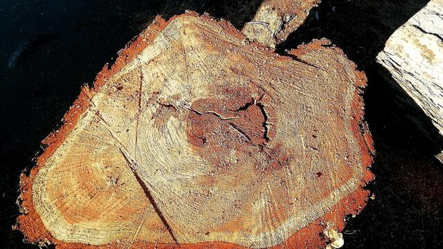 !!! 20.12.2020- Fensterblick Sonntagsbilder 20.12.2020 (49) !!!