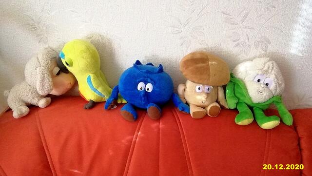 !!! 20.12.2020- Fensterblick Sonntagsbilder 20.12.2020 (49) !!!