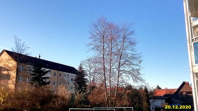 !!! 20.12.2020- Fensterblick Sonntagsbilder 20.12.2020 (49) !!!