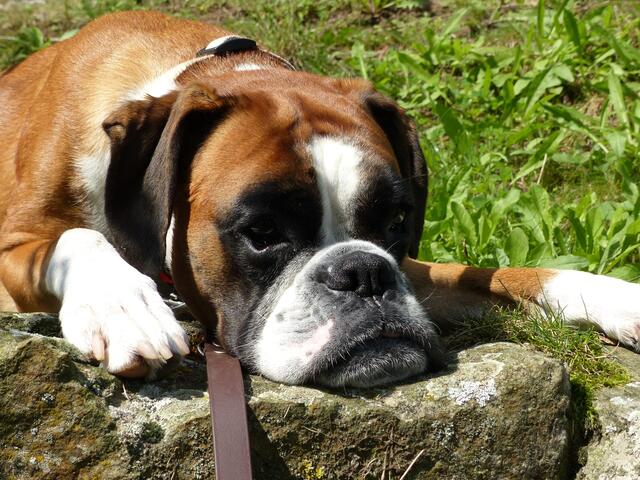 Und hinterher habe ich mir eine Pause verdient.