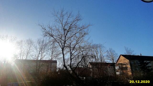!!! 20.12.2020- Fensterblick Sonntagsbilder 20.12.2020 (49) !!!