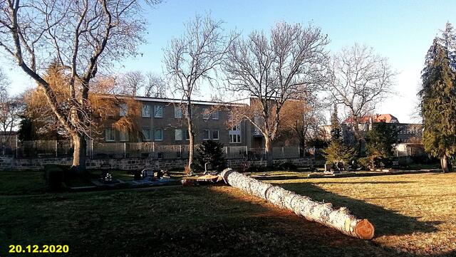 !!! 20.12.2020- Fensterblick Sonntagsbilder 20.12.2020 (49) !!!