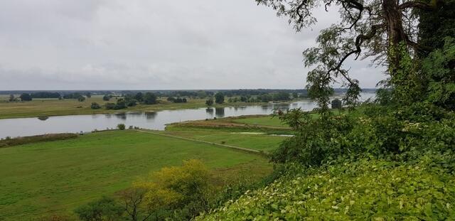 Blick auf die Elbe in Arneburg