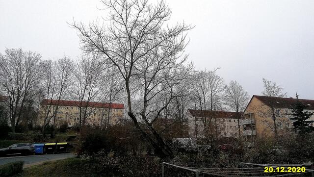 !!! 20.12.2020- Fensterblick Sonntagsbilder 20.12.2020 (49) !!!