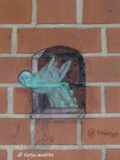 Vergängliche Kunst aus Kreide - herzlichen Dank an Shivan Shareef für dieses zauberhafte Kunstwerk! Entdeckt am Langenhagener Schulzentrum. Den Künstler findet ihr auch auf Instagram. (Foto: Katja Woidtke)