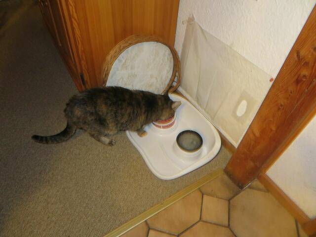 Das war mein Futterplatz.