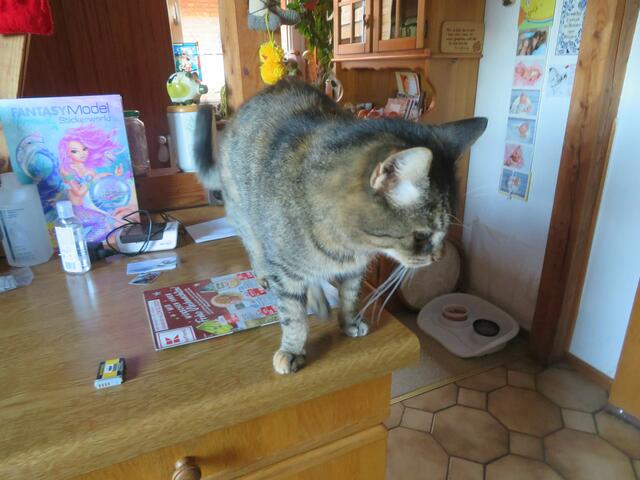 Was ist das tief.