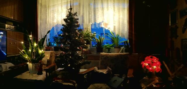 !!! 27.12.2020- Fensterblick Sonntagsbilder 27.12.2020 (52) !!!