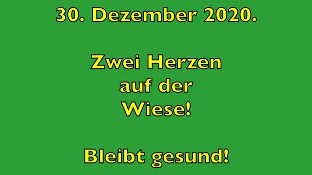 30. Dezember 2020. Zwei Herzen auf der Wiese! Bleibt gesund!