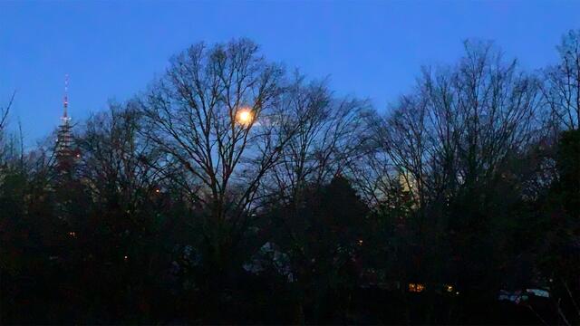 30. Dezember 2020. Guten Morgen! Bleibt gesund!
