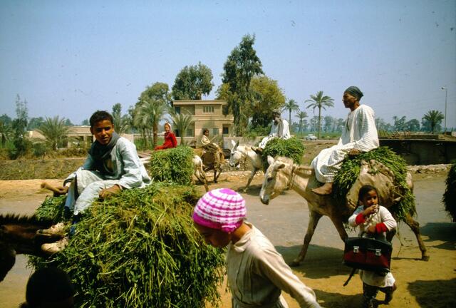 Straßenszene am bäuerlichen Rand von Kairo ....