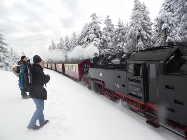 Wenn die Bahn kommt, bleiben die Wanderer am Goetheweg immer wieder stehen und zücken die Handykameras.