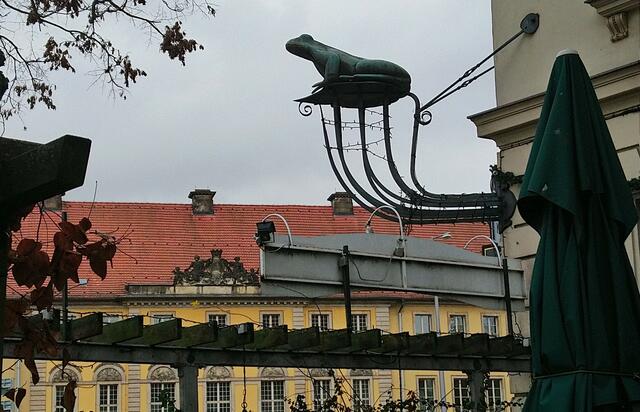Ein origineller Frosch an der Hauswand